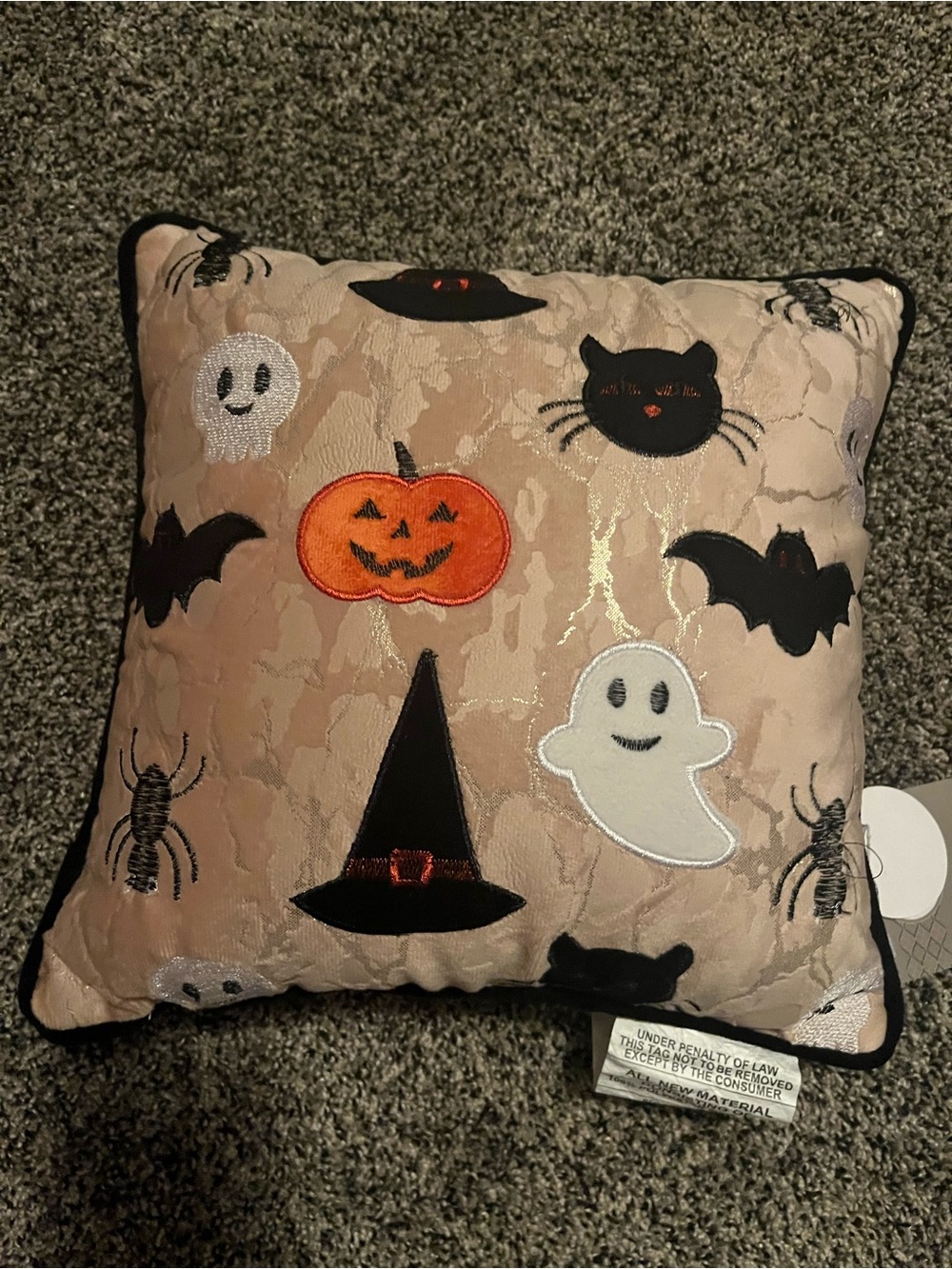Secret Celebrity Halloween pillow